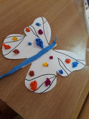 66804022 452386738914653 1700713049561759744 n