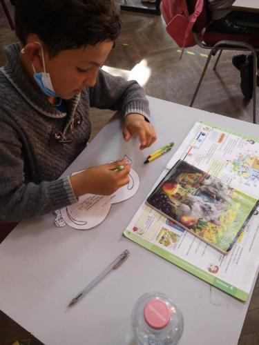 WhatsApp Image 2021-05-25 at  12.17.57